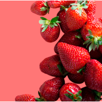 Розчинний коктейль LR FIGUACTIVE Fruity Strawberry (Полуниця) — замінник їжі для схуднення